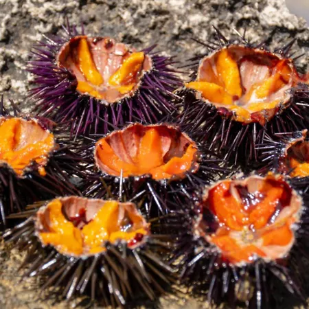 Casa vacanze Monopoli, Mare Fuori
